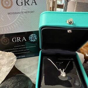 New Elegant Sterling Silver Necklace with 1.0 ct Moissanite Pendant